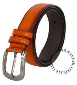 Daily Use Leather Belt