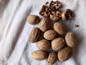 Dry Nutmeg