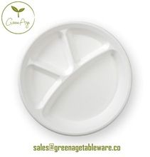 Disposable Sugarcane Bagasse Tableware