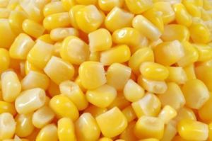 Loose Maize Seeds