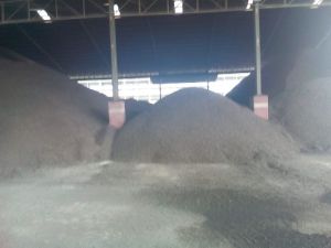 Palm Kernel Shell