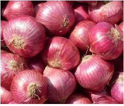 onion