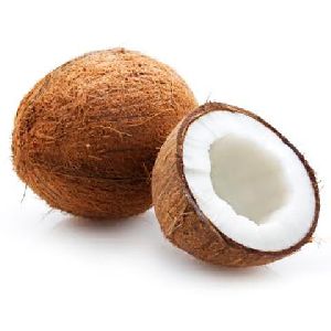 Organic Fresh Coconut, Feature : High Nutritional Value