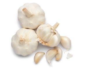 White Garlic