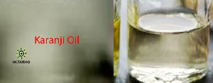karanji oil