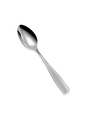 Dessert Dinner Spoon