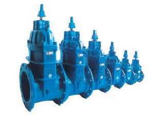 gate valve