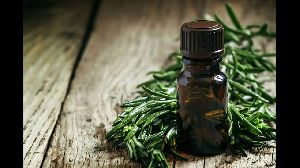 Tea Tree Oil