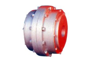 Gear Coupling