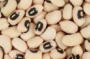 Black Eye Beans (Lobiya)Lobiya