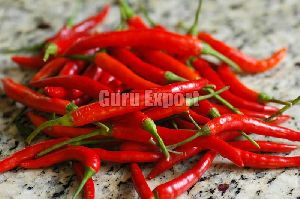 Fresh Red Chili