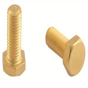 Brass Heavy Hex Bolts one