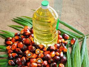 palm oil