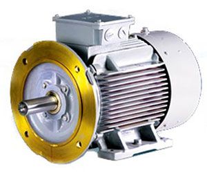 Electric Motors