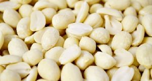 Roasted White Blanched Peanut