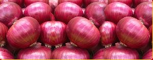 Onions