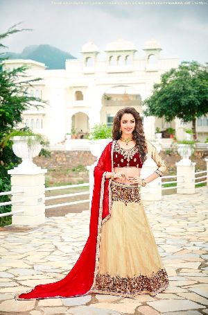 Alveera Lehenga Choli