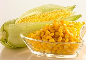 Frozen Corns