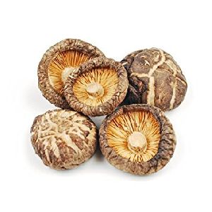 dry shiitake mushroom