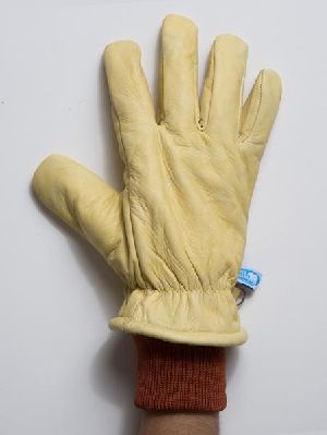 Calf XT Hand Gloves