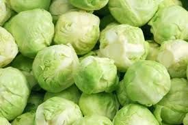 Fresh Iceberg Lettuce