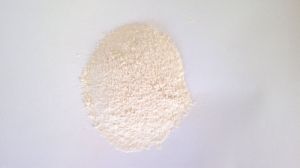 ONION POWDER - DEHYDRATED