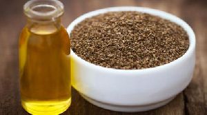 Ajwain Oil