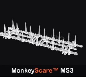 Monkey menace solution (Monkey Spikes)