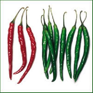 Chilli Seed