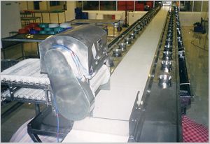 De-heading Conveyor