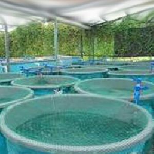 aquaculture