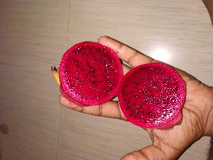 red dragon fruit