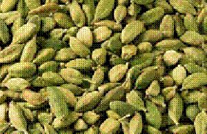 cardamom