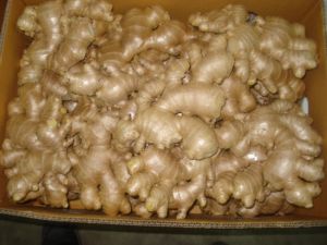 Fresh Air Dried Ginger Root