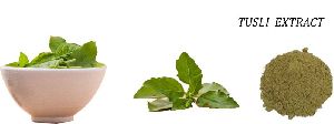 Tulsi Extract,tulsi extract