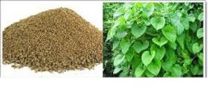 Neem Giloy Powder