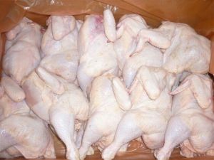 Halal Frozen Whole Chicken, Packaging Type : box