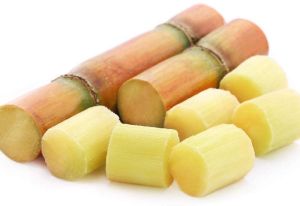 sugarcane