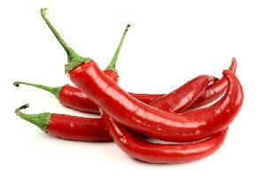 Fresh  Red Chilli