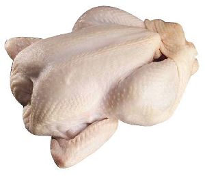 halal fresh frozen bone chicken