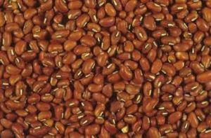 Red Cowpeas