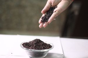 Chahao Black Rice