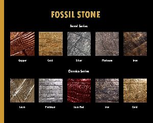 fossil stone