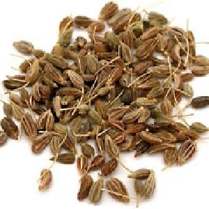 fennel seeds