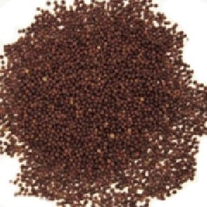 mustard seeds