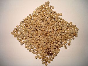 white pepper seeds