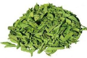 Dry Stevia Leaves