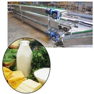 Conveyor Systems For Food