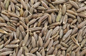 cumin seeds