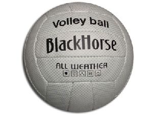 4564 Volley Ball